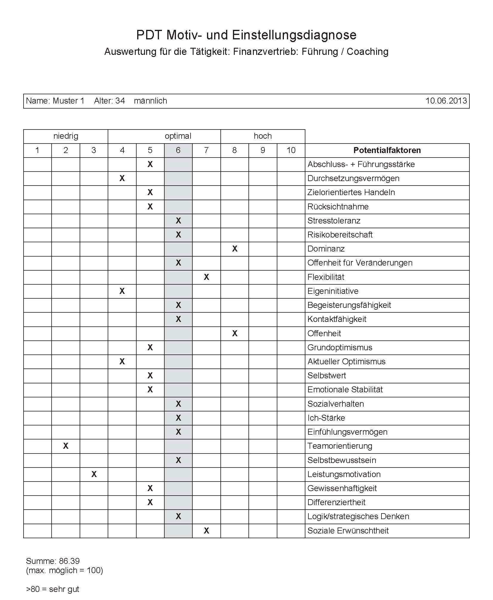 Musterauswertung PDT®-Potenzialanalyse Musterauswertung PDT®-Potenzialanalyse
