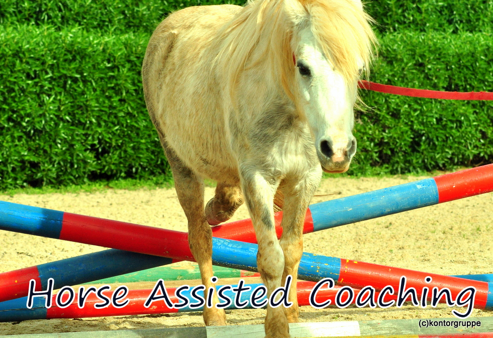 Horse Assisted Coaching ? Führen ohne Scheuklappen