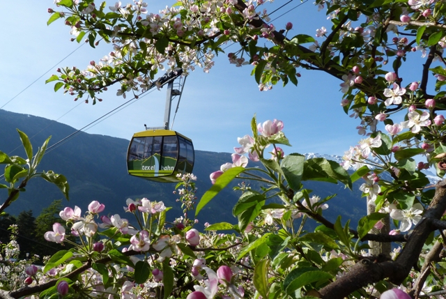 Inmitten herrlich duftender Apfelblüten hoch hinauf auf herrliche Panorama-Aussichtspunkte Inmitten herrlich duftender Apfelblüten hoch hinauf auf herrliche Panorama-Aussichtspunkte