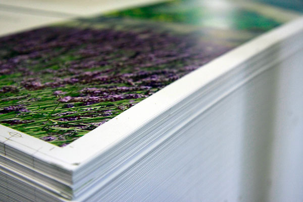 Hier können Sie Ihren Katalog drucken lassen. Umweltfreundlich, schnell und in hoher Druckqualität. Hier können Sie Ihren Katalog drucken lassen. Umweltfreundlich, schnell und in hoher Druckqualität.