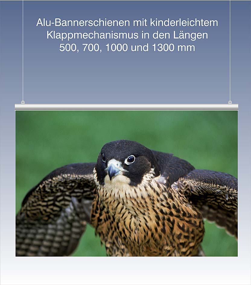 Posterschienen von HDW Posterschienen von HDW