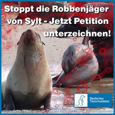 Deutsches Tierschutzbüro fordert: Stoppt die Robbenjäger von Sylt! Mailaktion gestartet ? über 1500 Deutsches Tierschutzbüro fordert: Stoppt die Robbenjäger von Sylt! Mailaktion gestartet ? über 1500