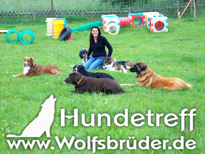 Maike Velte - Hundeschule Wolfsbrüder Marburg-Biedenkopf-Dautphetal