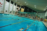 Das erste Barbarossa-24 Stunden-Schwimmen, wie wird die zweite Auflage? Foto: K-media