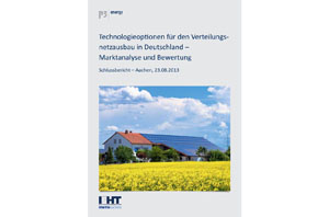 P3 energy Verteilungsnetzstudie.