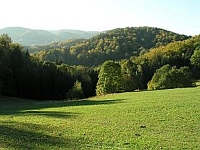Das Gefühl der Freiheit im Bayerischen Wald