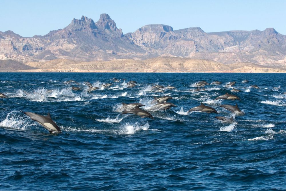 Relax&Resource&Whale Watching Relax&Resource&Whale Watching