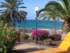 Traumwohnung am Meer an der Costa Calma auf Fuerteventura Traumwohnung am Meer an der Costa Calma auf Fuerteventura