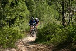 Trailpark Trailpark
