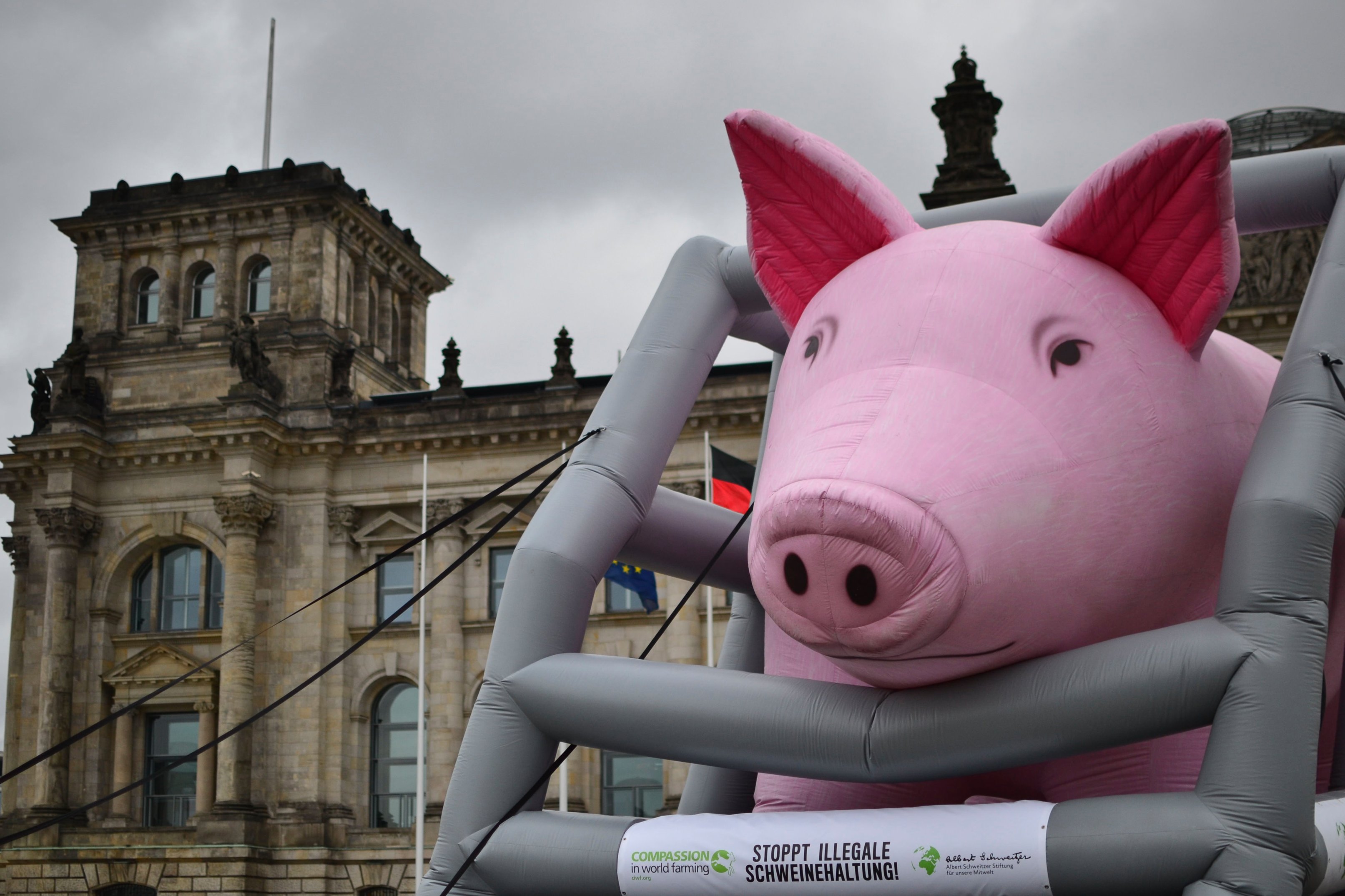 Riesenschwein?Hope?vor dem Reichstagsgebäude Riesenschwein?Hope?vor dem Reichstagsgebäude