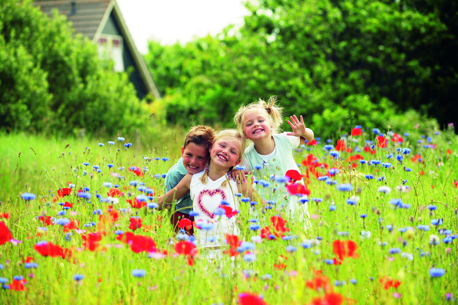 Blumige Zeiten mit den Landal-Ferienparks