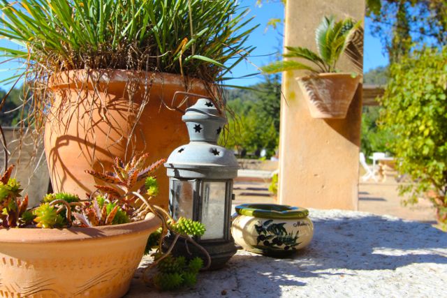 Copyright: www.finca-ferienhaus.de Copyright: www.finca-ferienhaus.de