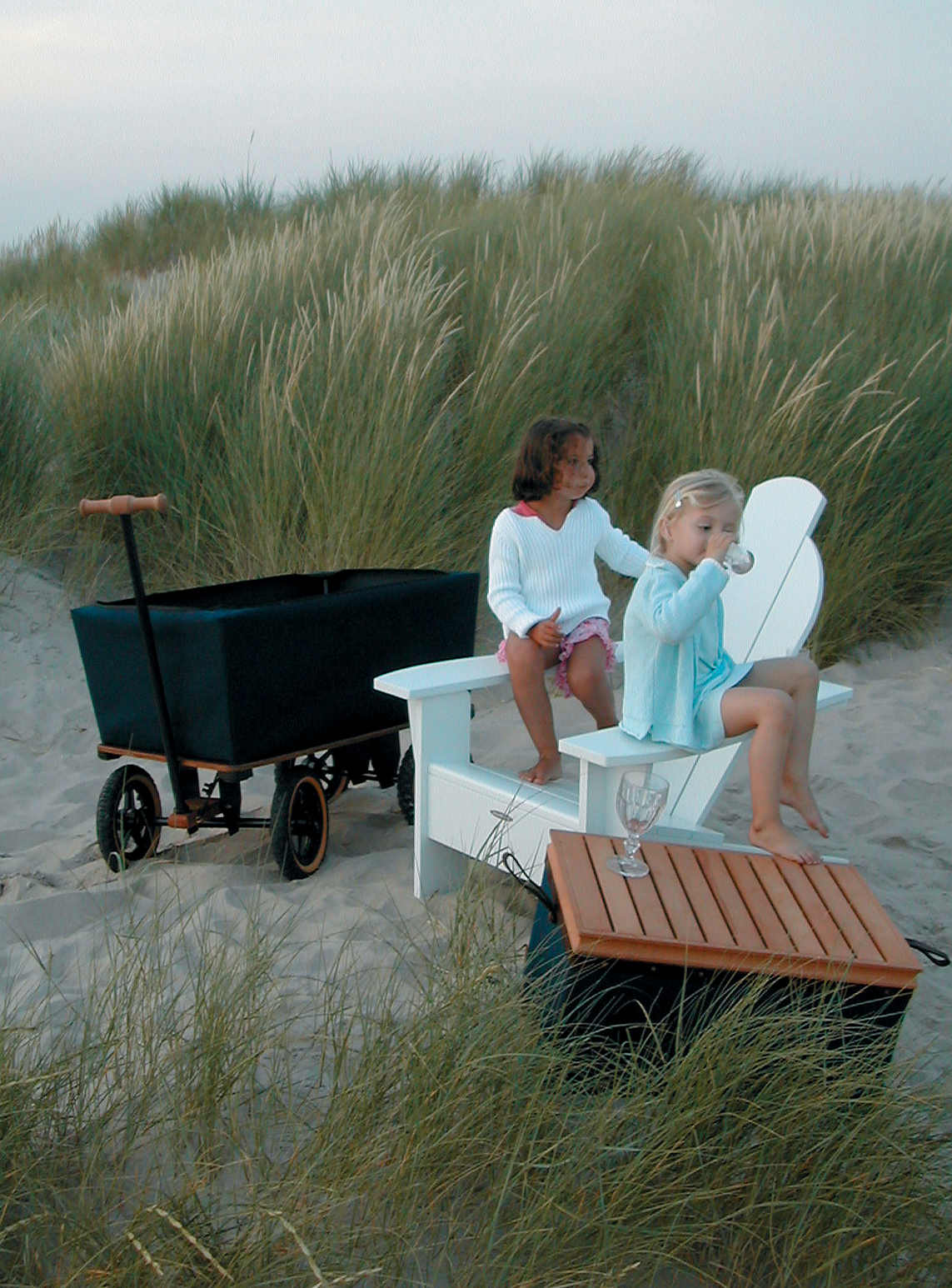 Exklusiver Wagon Bollerwagen in höchster Qualität Exklusiver Wagon Bollerwagen in höchster Qualität
