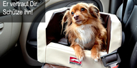 Er vertraut Dir - schütze ihn. Mit den Dogstyler-Produkten sichern Sie Ihren Hund wirksam und das Au Er vertraut Dir - schütze ihn. Mit den Dogstyler-Produkten sichern Sie Ihren Hund wirksam und das Au