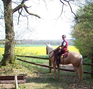 Ausreittipp auf Mit-Pferden-reisen.de: Granderheide-Lütjensee in Schleswig-Holstein Ausreittipp auf Mit-Pferden-reisen.de: Granderheide-Lütjensee in Schleswig-Holstein