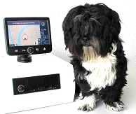 Hund Feli und TeleDrive im DIN-Radioschacht, der 18 Zentimeter-Touchscreen in guter Reichweite Hund Feli und TeleDrive im DIN-Radioschacht, der 18 Zentimeter-Touchscreen in guter Reichweite