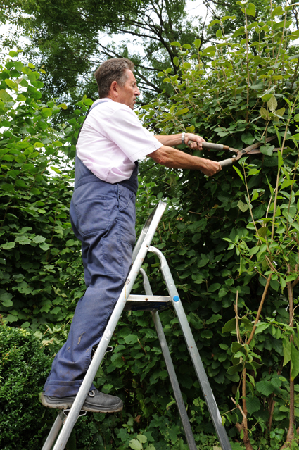D.A.S. Rechtsschutzversicherung - Garten und Balkon frühlingsfit D.A.S. Rechtsschutzversicherung - Garten und Balkon frühlingsfit