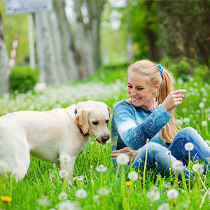 Entspannter Urlaub mit Hund in wirklich hundefreundlichen Hotels, Ferienhäusern und Wohnungen Entspannter Urlaub mit Hund in wirklich hundefreundlichen Hotels, Ferienhäusern und Wohnungen