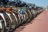 Fahrradmarkt im Internet wächst Fahrradmarkt im Internet wächst