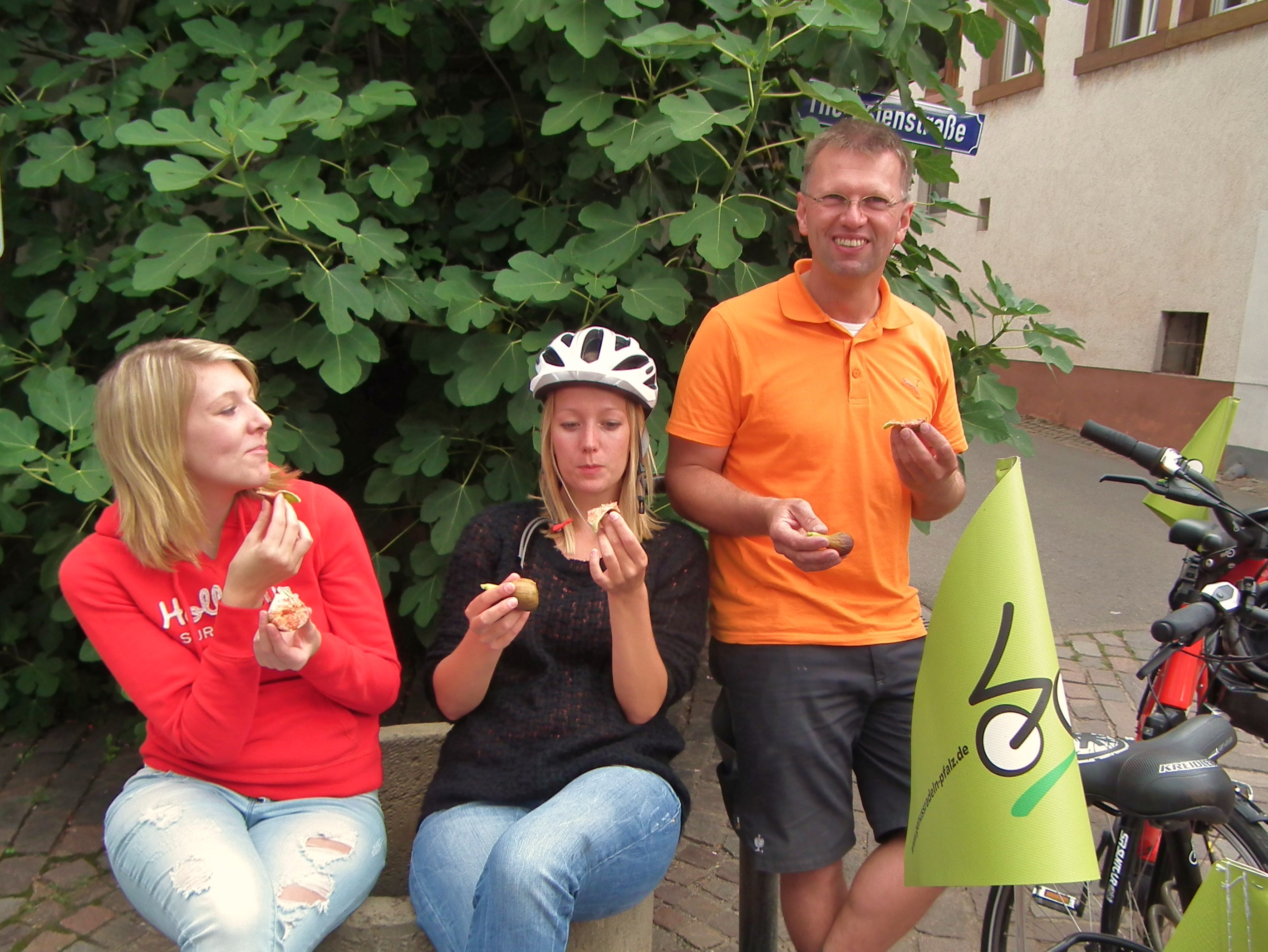 Leckere Feigen bei Pedelec Radtouren und Radreisen sowie Betriebsausflügen mit genussradeln-pfal Leckere Feigen bei Pedelec Radtouren und Radreisen sowie Betriebsausflügen mit genussradeln-pfal