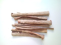 Seemandelbaumrinde Indian Almond catappa bark