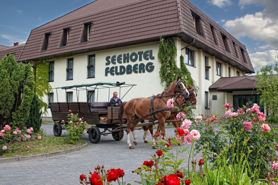Die Sonnenhotels bieten Last-Minute-Angeboteüber die Feiertage