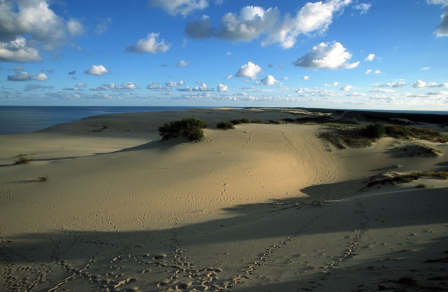 Schnieder Reisen: Litauen`s Sahara entdecken