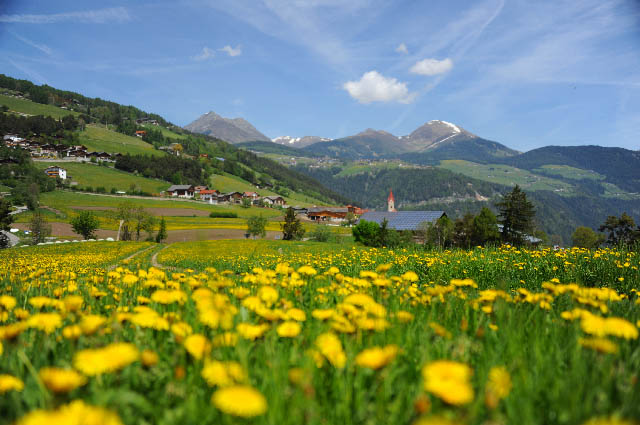 Der Bergfrühling verzaubert die Landschaft rund um das Naturhotel Rogen. Der Bergfrühling verzaubert die Landschaft rund um das Naturhotel Rogen.