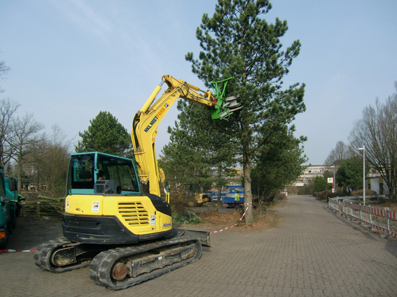 Baumaschinen von HKL erledigen Baumarbeiten auf dem Gelände des Gymnasiums in Halstenbek.