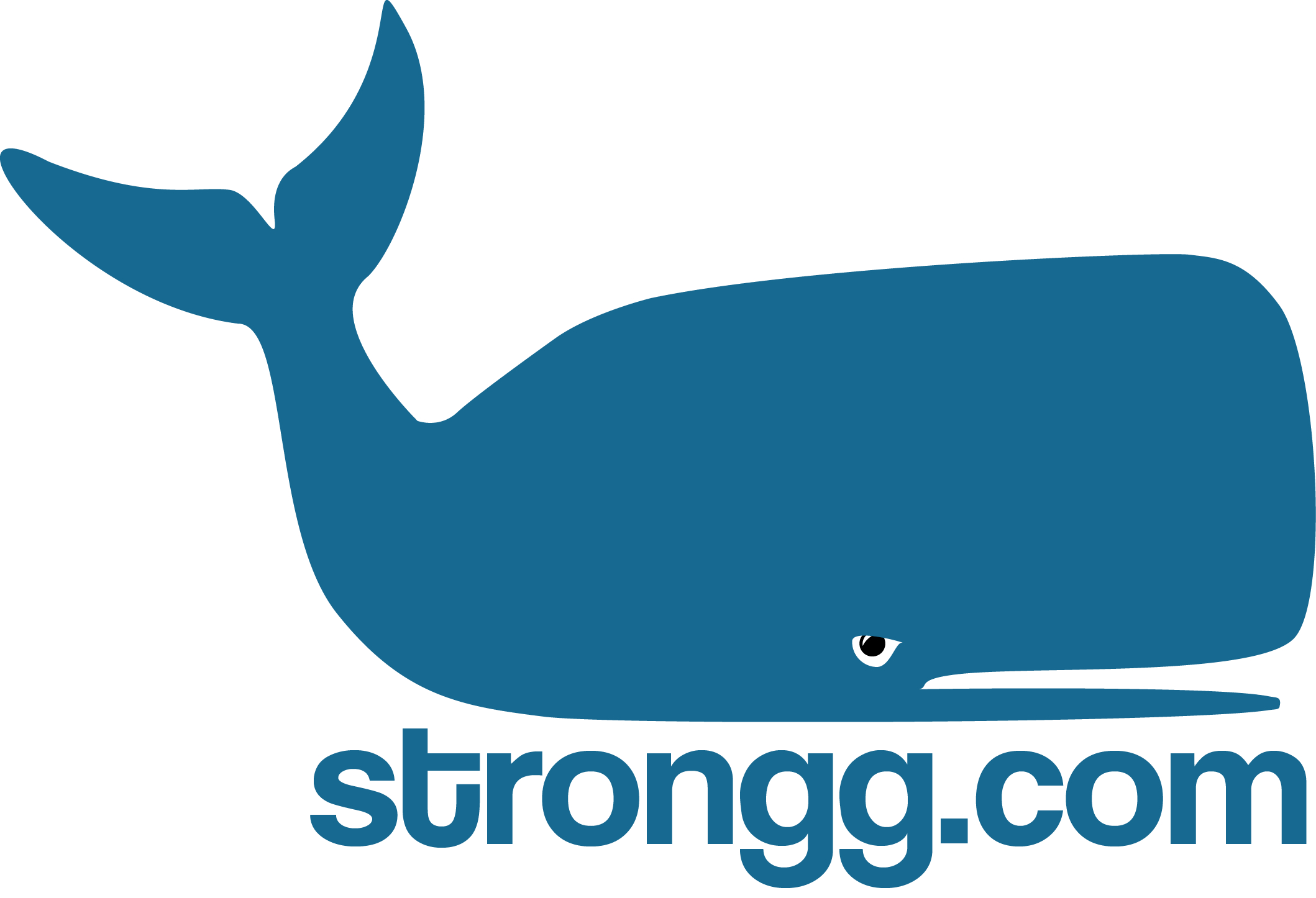 Strongg.com informiert über Trendsportarten Strongg.com informiert über Trendsportarten