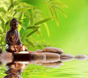 Wellness