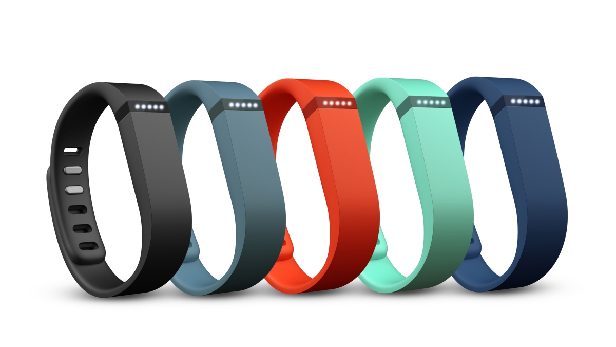 Fitbit Flex Fitbit Flex