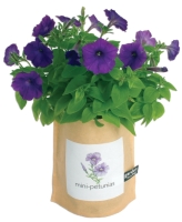 Garden in a Bag