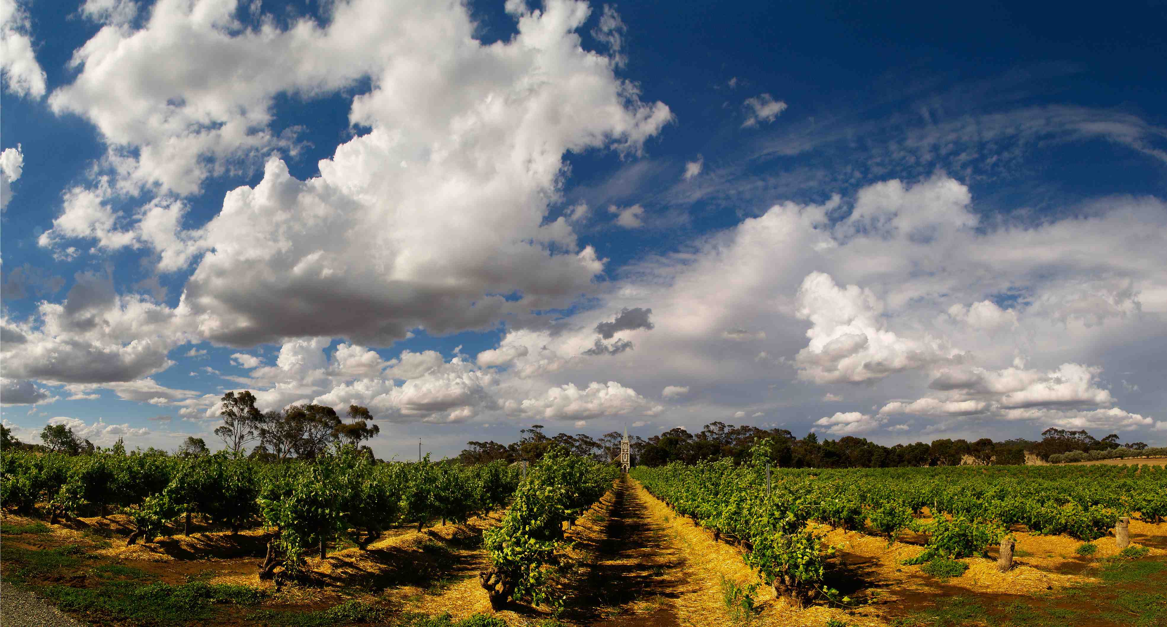 Henschke, Barossa Valley Henschke, Barossa Valley