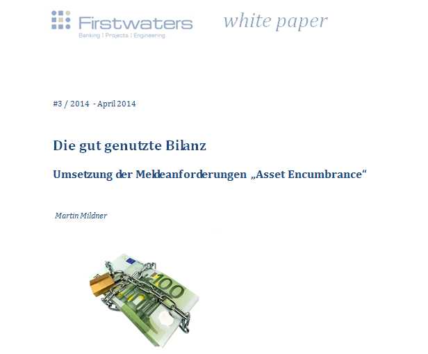 Firstwaters White Paper: Die gut genutzte Bilanz - Titelseite Firstwaters White Paper: Die gut genutzte Bilanz - Titelseite