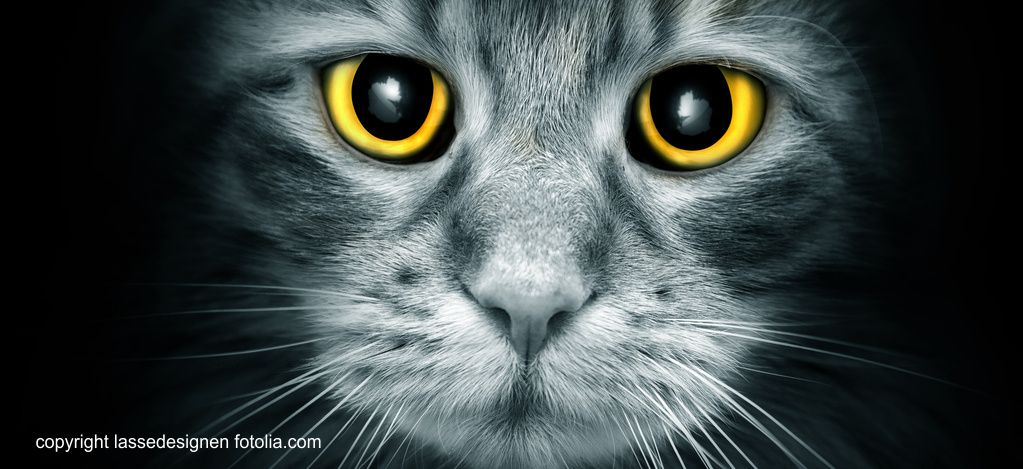 In Hypnose ist der Zugang zum Autopiloten frei. Foto (C) lassedesignen fotolia.com