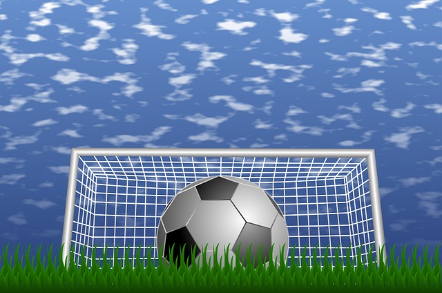 Fußball-Domains: Bessere Platzierung bei Google & Co. Fußball-Domains: Bessere Platzierung bei Google & Co.