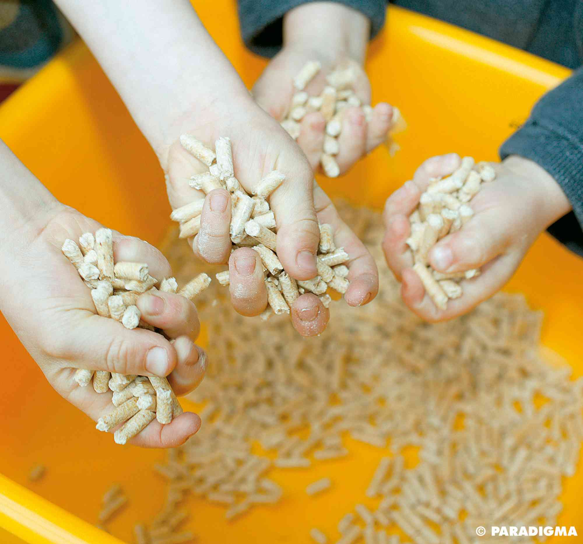 Holz und Pellets sind nach der Solarthermie der effizienteste Brennstoff. Holz und Pellets sind nach der Solarthermie der effizienteste Brennstoff.