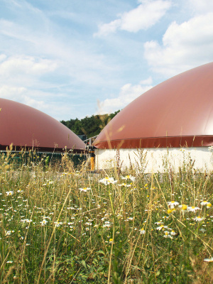 Biogasanlage Hallerndorf Biogasanlage Hallerndorf