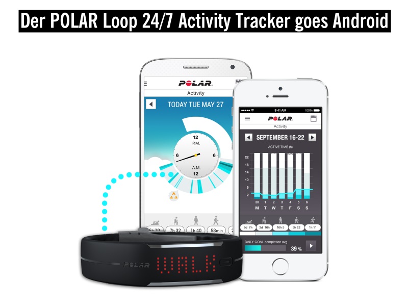 Polar Loop Flow App Polar Loop Flow App