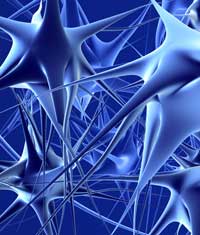 Neuromarketing – Neue Wege in der Marktforschung Neuromarketing – Neue Wege in der Marktforschung