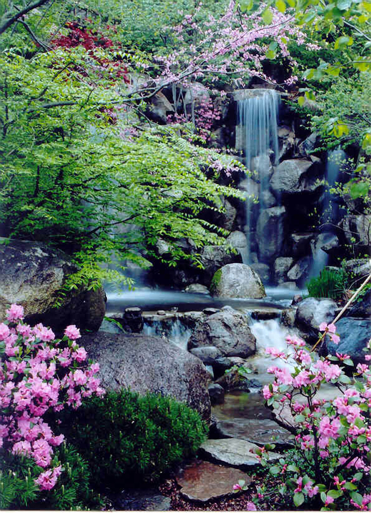 Wasserfall in Anderson Japanese Gardens in Rockford Wasserfall in Anderson Japanese Gardens in Rockford
