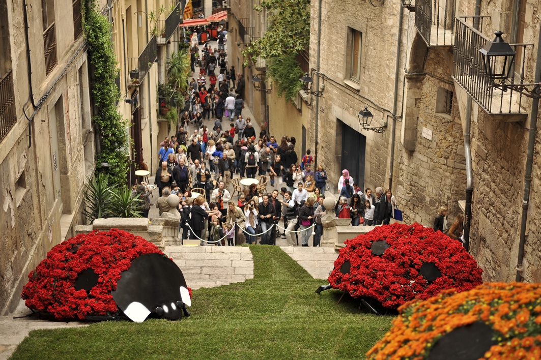 Temps de Flors in Girona Temps de Flors in Girona