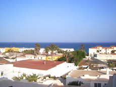 Jardín de Fuerteventura No. 34 an der Costa Calma auf Fuerteventura Jardín de Fuerteventura No. 34 an der Costa Calma auf Fuerteventura