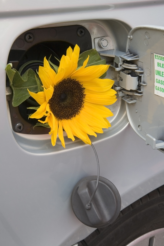Energieeffizienz und Umwelt Energieeffizienz und Umwelt