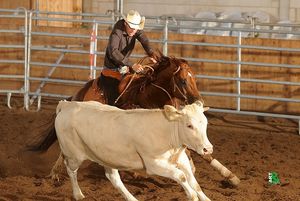 Rasant geht es zu bei der Cow Horse Night am Freitagabend des 24. Ride of America auf der Circle L R Rasant geht es zu bei der Cow Horse Night am Freitagabend des 24. Ride of America auf der Circle L R