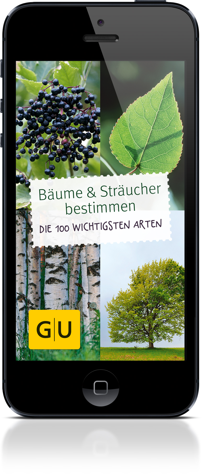 Bäume erkennen mit der GU Natur-App