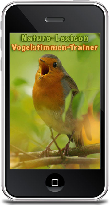 Vogelstimmen-Trainer - Schnellsystem in Bild und Ton zur Vogelbestimmung Vogelstimmen-Trainer - Schnellsystem in Bild und Ton zur Vogelbestimmung