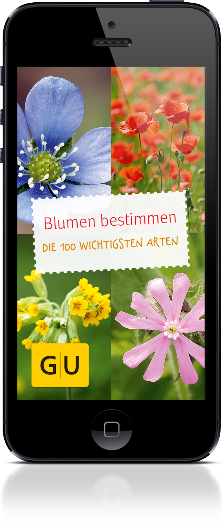 Blumen und Pflanzen bestimmen mit der Naturapp von GU