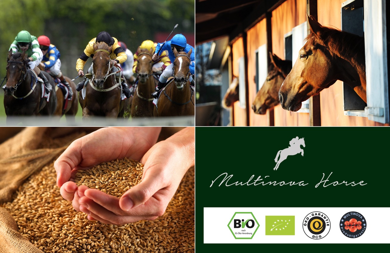 Bildrechte liegen bei Multinova-Horse © Bildrechte liegen bei Multinova-Horse ©